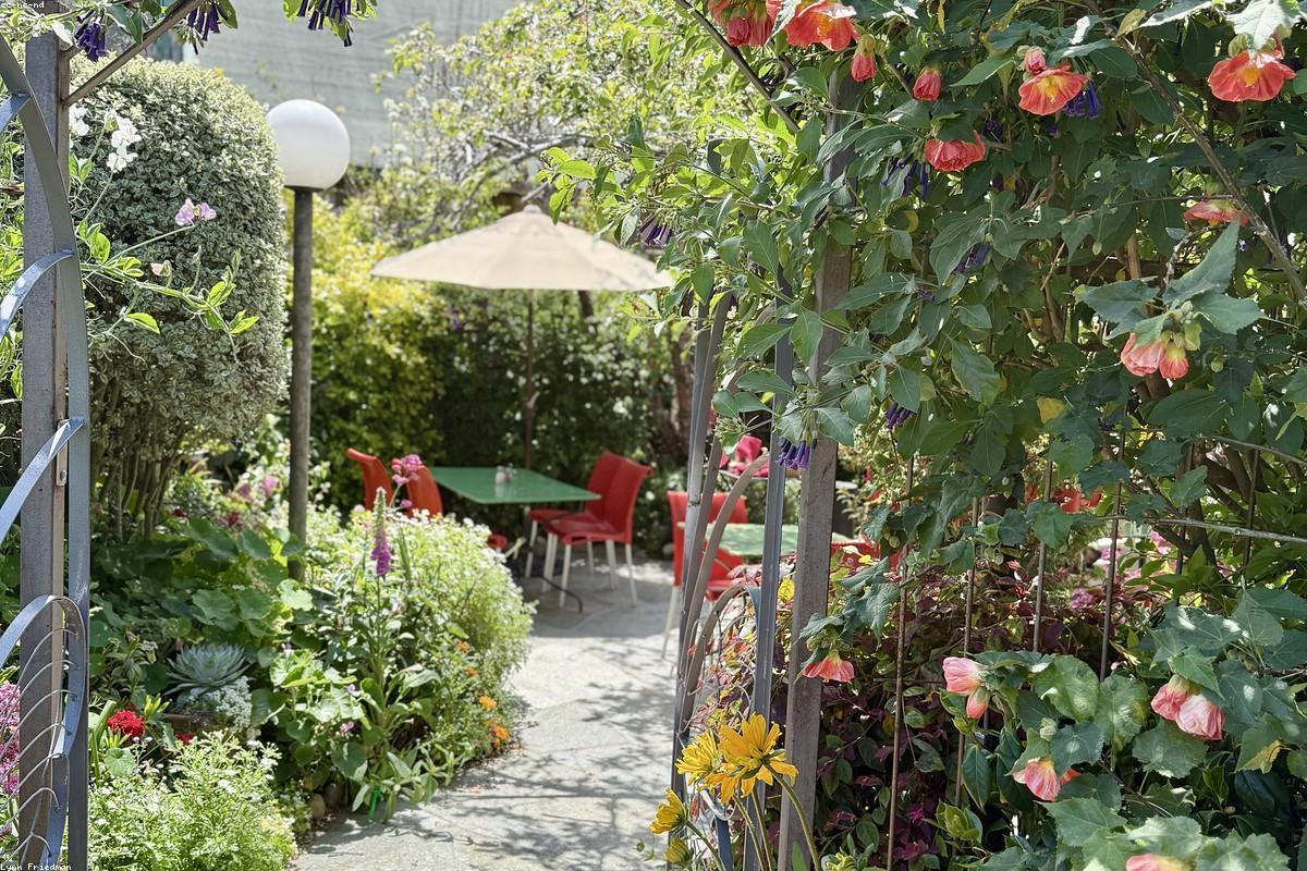 Potager en carrés avec allées paillées dans une cour lyonnaise